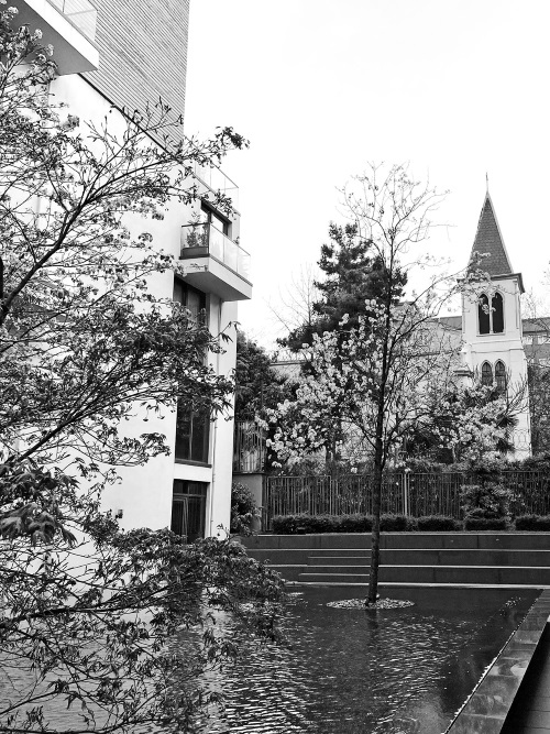 Иллюстрация к книге — На берегах Босфора. Стамбул в рецептах, историях и криках чаек [i_014.jpg]