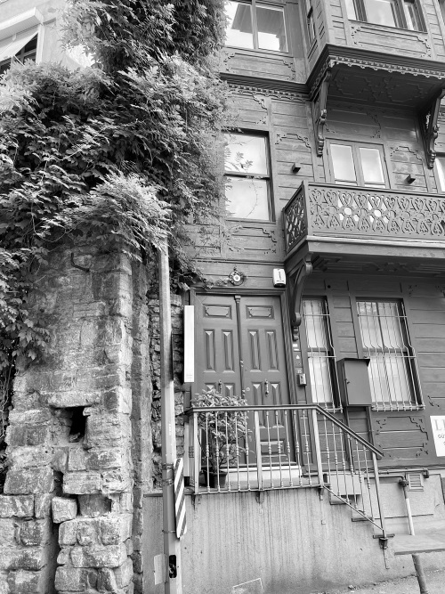 Иллюстрация к книге — На берегах Босфора. Стамбул в рецептах, историях и криках чаек [i_021.jpg]