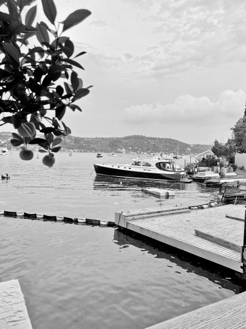 Иллюстрация к книге — На берегах Босфора. Стамбул в рецептах, историях и криках чаек [i_022.jpg]