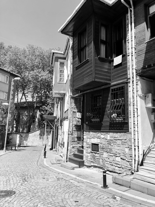 Иллюстрация к книге — На берегах Босфора. Стамбул в рецептах, историях и криках чаек [i_045.jpg]