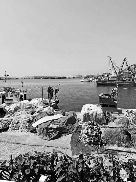 Иллюстрация к книге — На берегах Босфора. Стамбул в рецептах, историях и криках чаек [i_051.jpg]