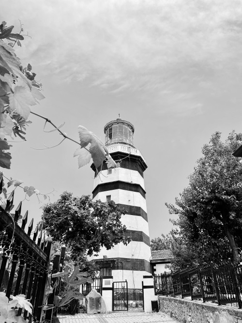 Иллюстрация к книге — На берегах Босфора. Стамбул в рецептах, историях и криках чаек [i_052.jpg]