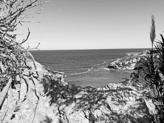 Иллюстрация к книге — На берегах Босфора. Стамбул в рецептах, историях и криках чаек [i_053.jpg]