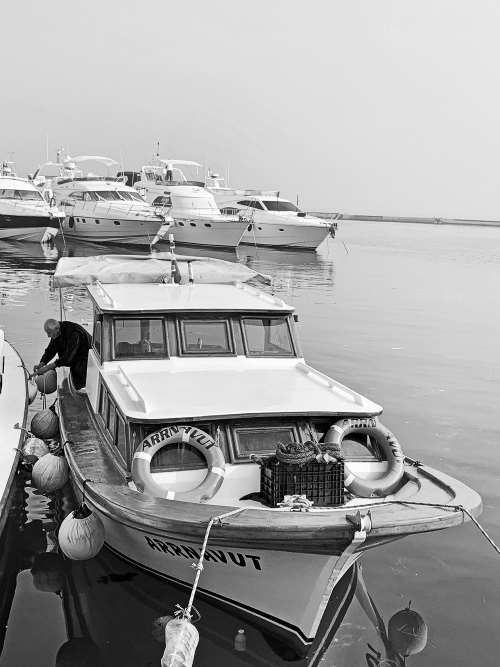 Иллюстрация к книге — На берегах Босфора. Стамбул в рецептах, историях и криках чаек [i_056.jpg]