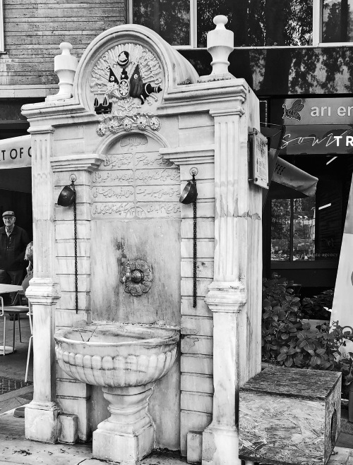 Иллюстрация к книге — На берегах Босфора. Стамбул в рецептах, историях и криках чаек [i_066.jpg]