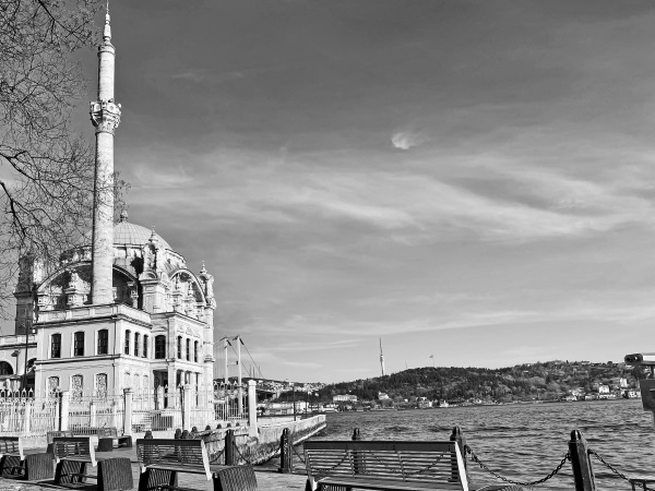 Иллюстрация к книге — На берегах Босфора. Стамбул в рецептах, историях и криках чаек [i_075.jpg]