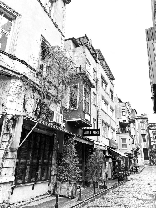 Иллюстрация к книге — На берегах Босфора. Стамбул в рецептах, историях и криках чаек [i_079.jpg]