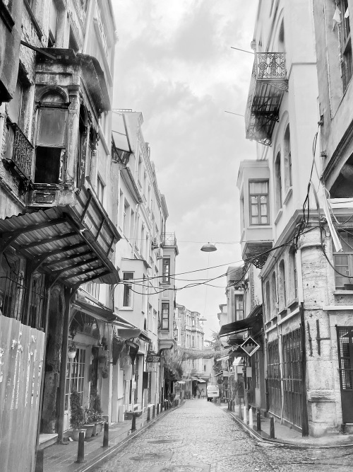 Иллюстрация к книге — На берегах Босфора. Стамбул в рецептах, историях и криках чаек [i_083.jpg]