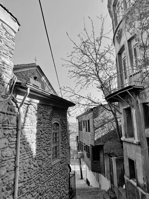 Иллюстрация к книге — На берегах Босфора. Стамбул в рецептах, историях и криках чаек [i_088.jpg]