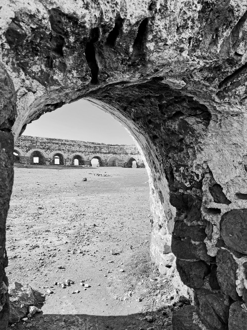 Иллюстрация к книге — На берегах Босфора. Стамбул в рецептах, историях и криках чаек [i_089.jpg]