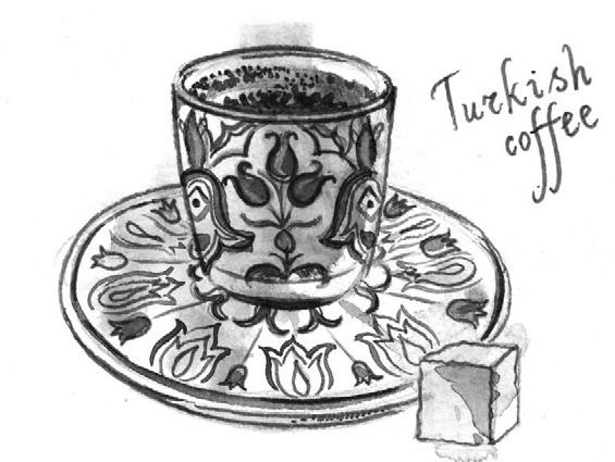 Иллюстрация к книге — На берегах Босфора. Стамбул в рецептах, историях и криках чаек [i_095.jpg]