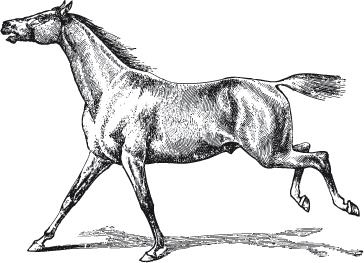 Иллюстрация к книге — Наука Шерлока Холмса: методы знаменитого сыщика в расследовании преступлений прошлого и настоящего [i_019.jpg]