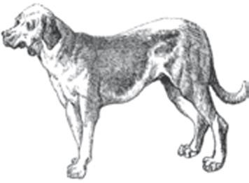 Иллюстрация к книге — Наука Шерлока Холмса: методы знаменитого сыщика в расследовании преступлений прошлого и настоящего [i_034.jpg]