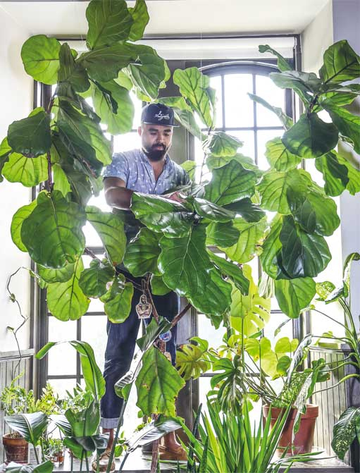 Иллюстрация к книге — Wild at home. Как превратить свой дом в зеленый рай [i_003.jpg]