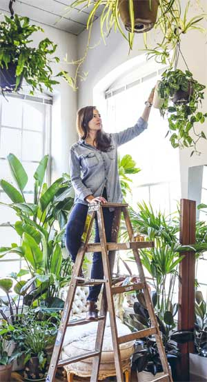 Иллюстрация к книге — Wild at home. Как превратить свой дом в зеленый рай [i_006.jpg]