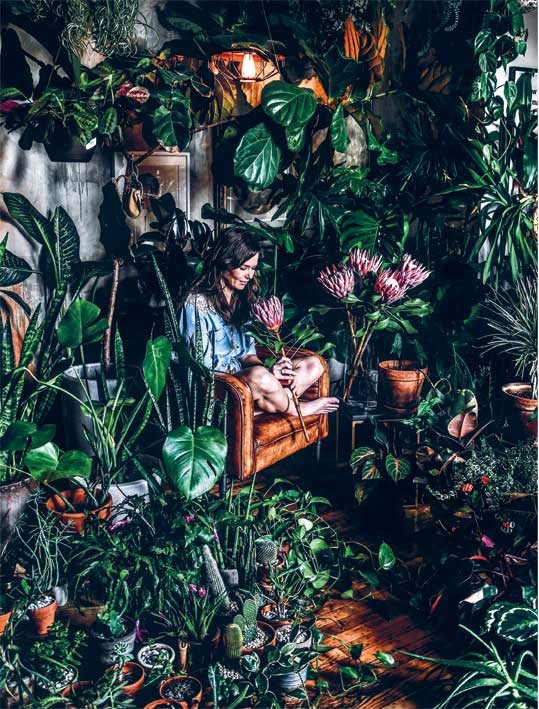 Иллюстрация к книге — Wild at home. Как превратить свой дом в зеленый рай [i_008.jpg]