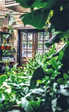 Иллюстрация к книге — Wild at home. Как превратить свой дом в зеленый рай [i_012.jpg]