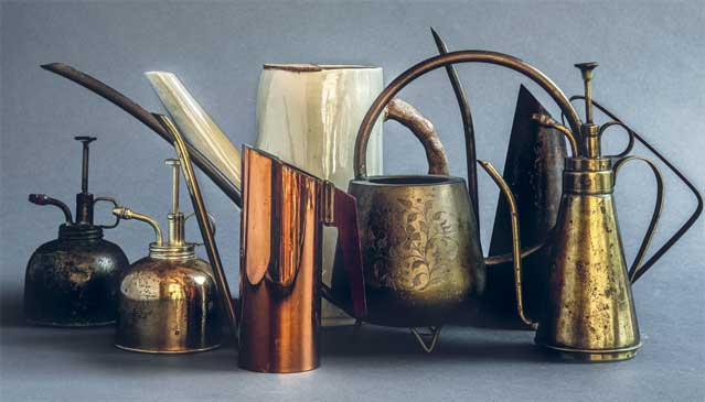 Иллюстрация к книге — Wild at home. Как превратить свой дом в зеленый рай [i_022.jpg]