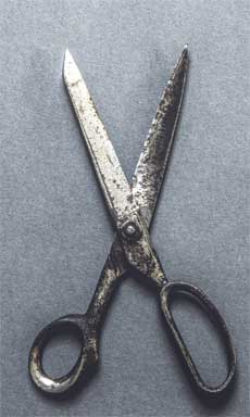 Иллюстрация к книге — Wild at home. Как превратить свой дом в зеленый рай [i_023.jpg]