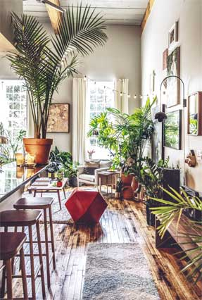 Иллюстрация к книге — Wild at home. Как превратить свой дом в зеленый рай [i_029.jpg]