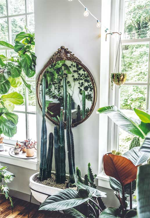 Иллюстрация к книге — Wild at home. Как превратить свой дом в зеленый рай [i_030.jpg]