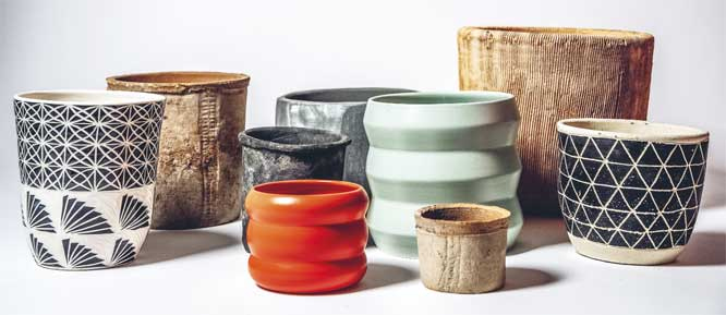 Иллюстрация к книге — Wild at home. Как превратить свой дом в зеленый рай [i_034.jpg]