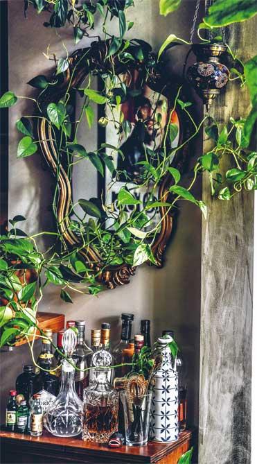 Иллюстрация к книге — Wild at home. Как превратить свой дом в зеленый рай [i_035.jpg]