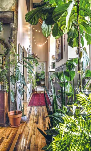 Иллюстрация к книге — Wild at home. Как превратить свой дом в зеленый рай [i_039.jpg]