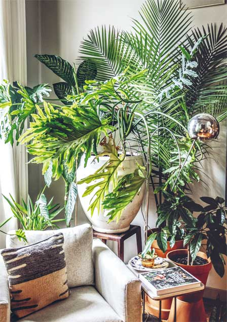 Иллюстрация к книге — Wild at home. Как превратить свой дом в зеленый рай [i_042.jpg]