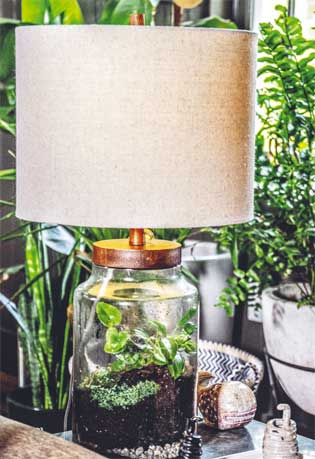 Иллюстрация к книге — Wild at home. Как превратить свой дом в зеленый рай [i_048.jpg]