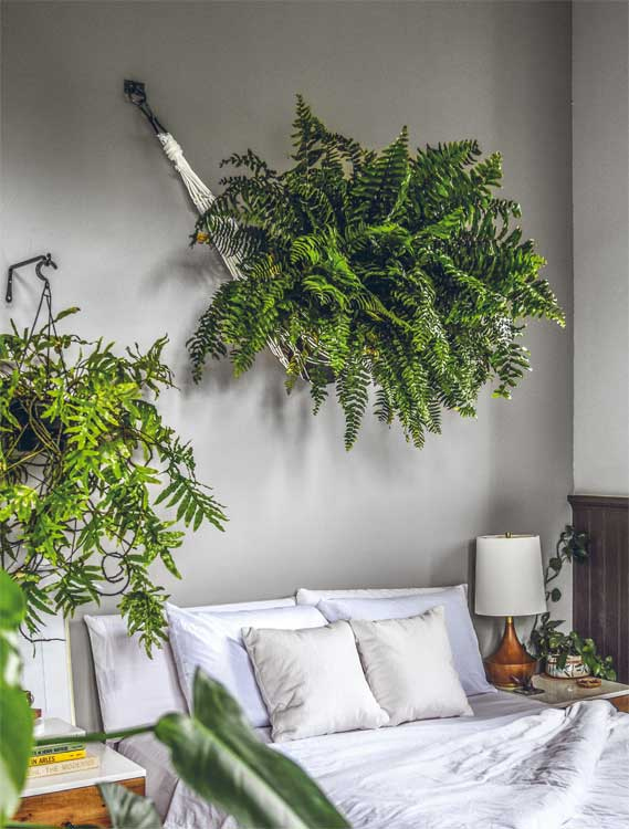 Иллюстрация к книге — Wild at home. Как превратить свой дом в зеленый рай [i_050.jpg]