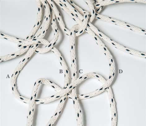 Иллюстрация к книге — Wild at home. Как превратить свой дом в зеленый рай [i_060.jpg]