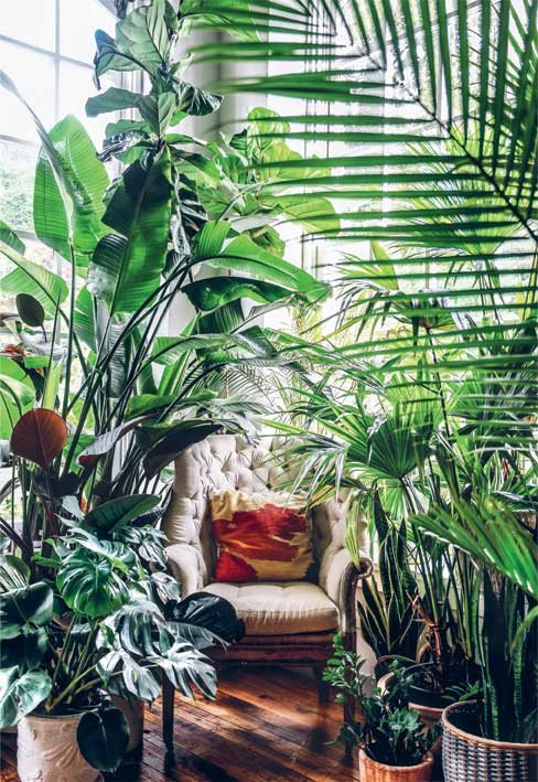 Иллюстрация к книге — Wild at home. Как превратить свой дом в зеленый рай [i_063.jpg]