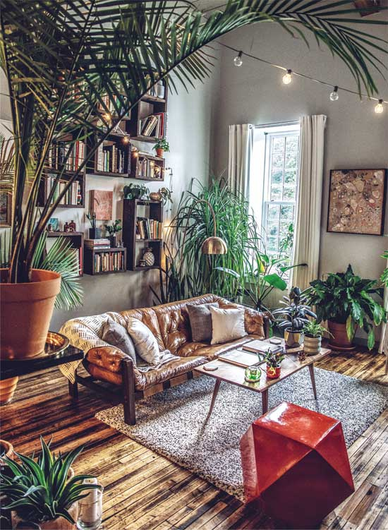 Иллюстрация к книге — Wild at home. Как превратить свой дом в зеленый рай [i_068.jpg]