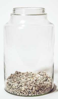 Иллюстрация к книге — Wild at home. Как превратить свой дом в зеленый рай [i_073.jpg]