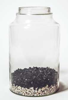 Иллюстрация к книге — Wild at home. Как превратить свой дом в зеленый рай [i_074.jpg]