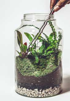 Иллюстрация к книге — Wild at home. Как превратить свой дом в зеленый рай [i_077.jpg]