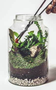 Иллюстрация к книге — Wild at home. Как превратить свой дом в зеленый рай [i_079.jpg]