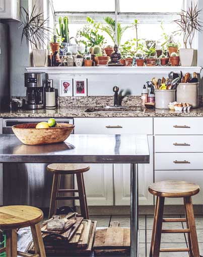 Иллюстрация к книге — Wild at home. Как превратить свой дом в зеленый рай [i_086.jpg]