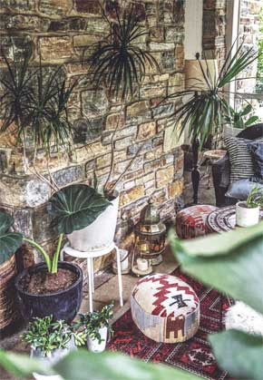 Иллюстрация к книге — Wild at home. Как превратить свой дом в зеленый рай [i_093.jpg]