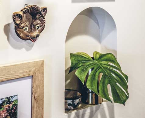 Иллюстрация к книге — Wild at home. Как превратить свой дом в зеленый рай [i_105.jpg]