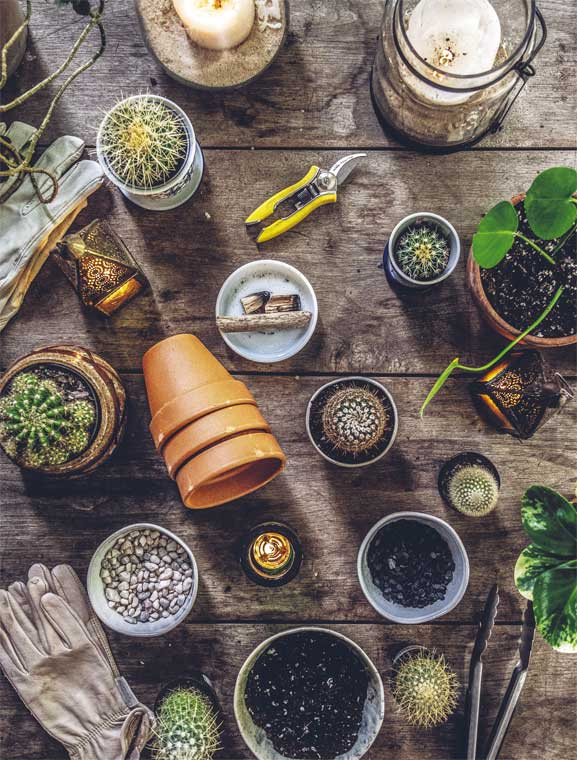 Иллюстрация к книге — Wild at home. Как превратить свой дом в зеленый рай [i_120.jpg]