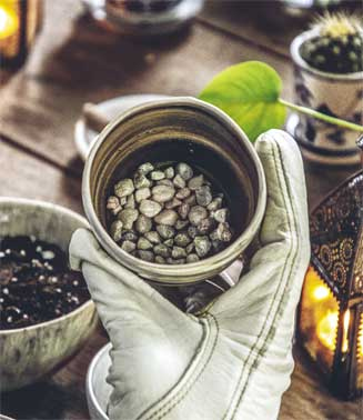 Иллюстрация к книге — Wild at home. Как превратить свой дом в зеленый рай [i_130.jpg]