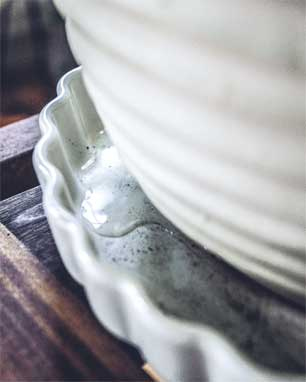 Иллюстрация к книге — Wild at home. Как превратить свой дом в зеленый рай [i_145.jpg]