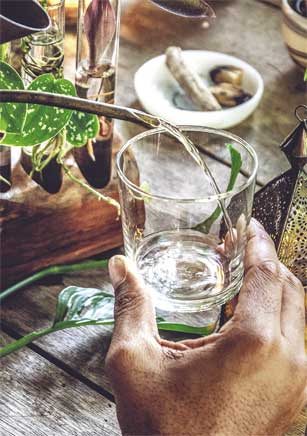 Иллюстрация к книге — Wild at home. Как превратить свой дом в зеленый рай [i_154.jpg]