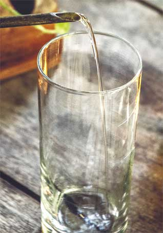 Иллюстрация к книге — Wild at home. Как превратить свой дом в зеленый рай [i_158.jpg]