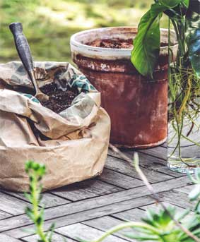 Иллюстрация к книге — Wild at home. Как превратить свой дом в зеленый рай [i_160.jpg]