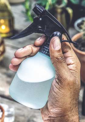 Иллюстрация к книге — Wild at home. Как превратить свой дом в зеленый рай [i_168.jpg]