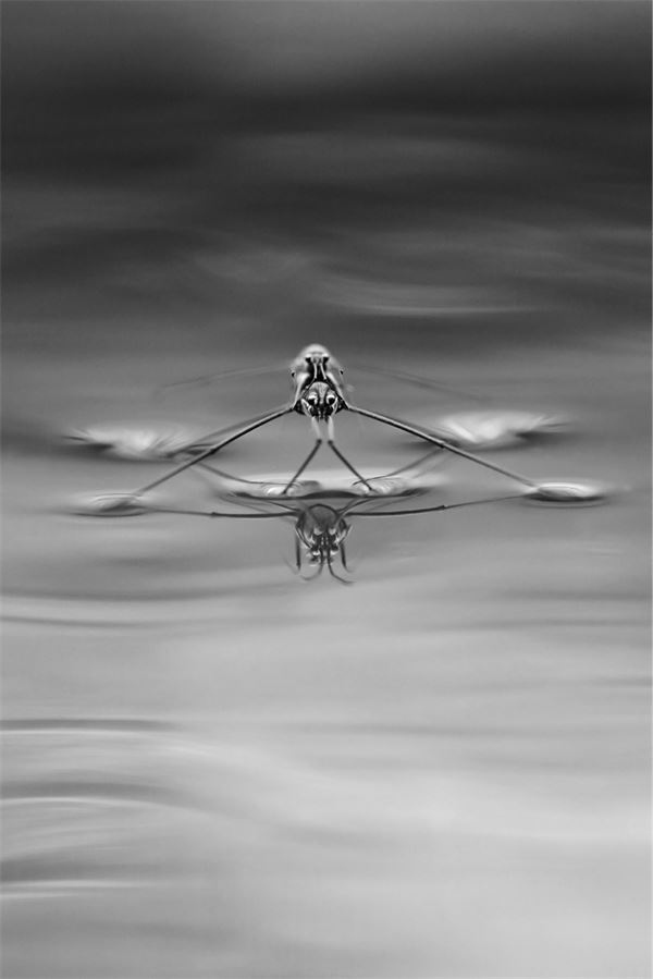 Иллюстрация к книге — 99 секретов физики [i_018.jpg]