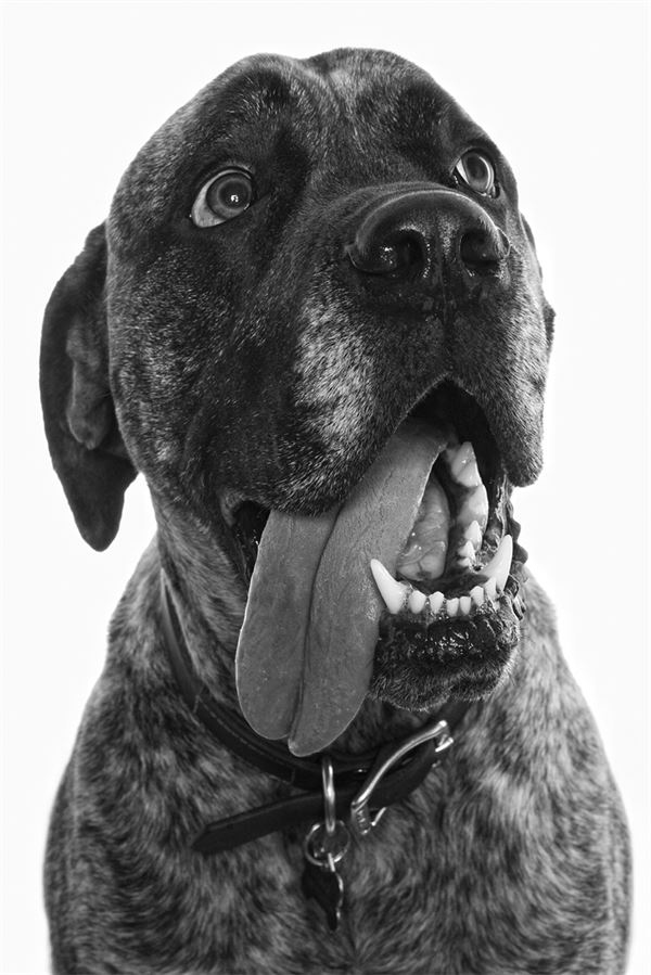 Иллюстрация к книге — 99 секретов физики [i_019.jpg]